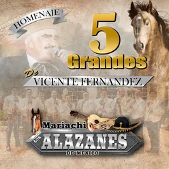 5 Grandes de Vicente Fernandez