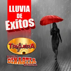 Lluvia De Exitos