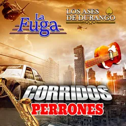 Corridos Perrones