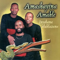 Ukuhlukana Kwenyama