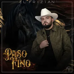 Paso Fino