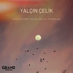 Gökyüzünde Bölük Bölük Turnalar