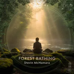 Shinrin Yoku, Revitalizing Forest Bathing - 432 Hz