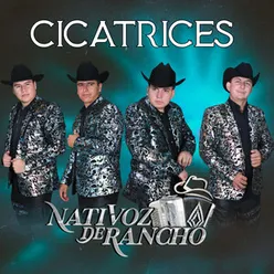 Cicatrices