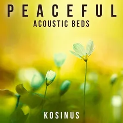Tranquil Acoustic Bed