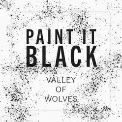 Paint It Black