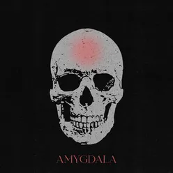 Amygdala