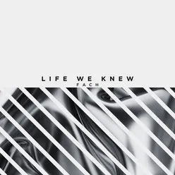 Life We Knew