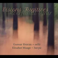 Visons Fugitives (2007)