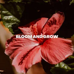 Bloom and Grow