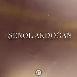 Şenol Akdoğan