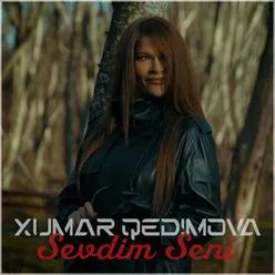 Sevdim Seni