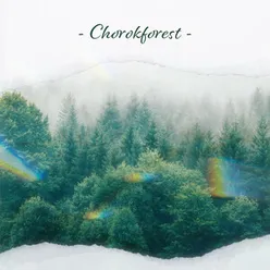 Chorok forest