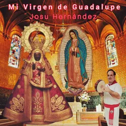 Mi Virgen de Guadalupe