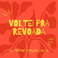 Voltei pra revoada