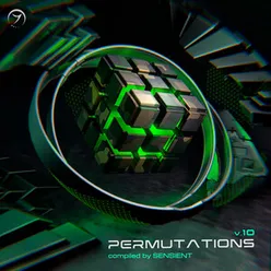 Permutations, Vol. 10