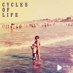 Cycles of Life