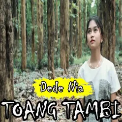 Toang Tambi