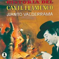 Historia del Cante Flamenco, Vol. 1