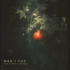 Nar-ı Fuz