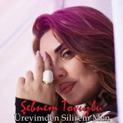 Üreyimden Silirem Men