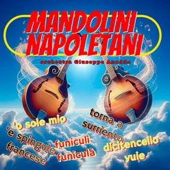 Mandolini Napoletani