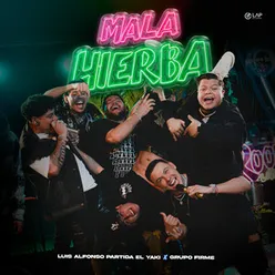 Mala Hierba