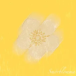 Smörblomma