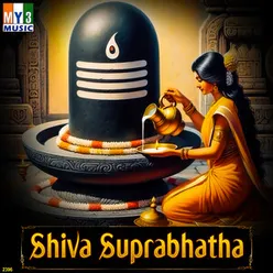 Ohm Namahshivaya