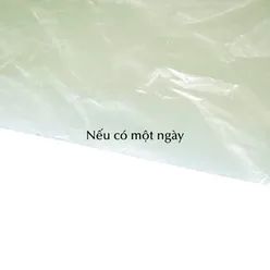 Nếu có một ngày