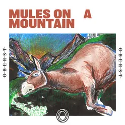 Mules on a Mountain