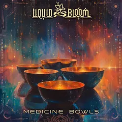 Medicine Bowls