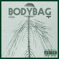 bodybag