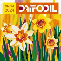 Daffodil