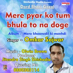 Mere Pyar Ko Tum Bhula To Na Doge Hindi Song