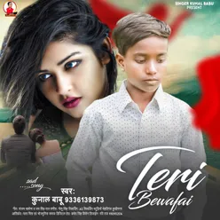 Teri Bewafai Bhojpuri Sad Song