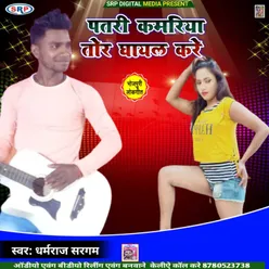 Patari Kamariya Tor Ghayal Kre