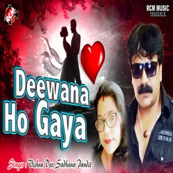 Deewana Ho Gaya Hindi