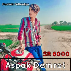 Sr 6000 Aspak Demrot