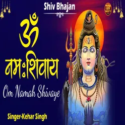 Om Namah Shivay