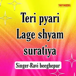 Teri Pyari Lage Shyam Suratiya