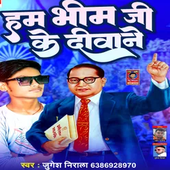 Ham Bhim Ji Ke Diwane bhojpuri song