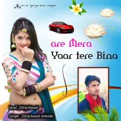 Are Mera  Yaar Tere Bina