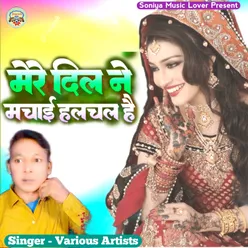 Mere Dil Ne Machai Halchal Hai (Hindi)