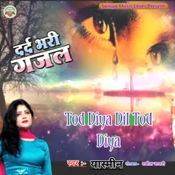 Tod Diya Dil Tod Diya (Hindi)