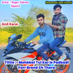 Mohbbat Tui Kar Le Padbadi Yarr Brand Ch Thara (Rajasthani)