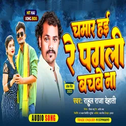 Chamar Haee Re Pagli Bachabe Na (bhojpuri)