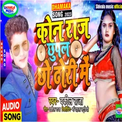 Kon Raj Chhupal Chhau Dhorhi Me Wakil Raja (Maithili Song)