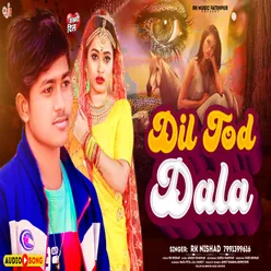 Dil Tod Dala (Hindi)