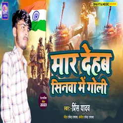 Mar Dehab Sinawe Me Goli (Prince Yadav)